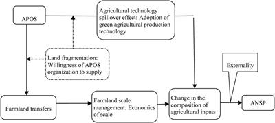 Impact of agricultural production outsourcing service and land fragmentation on agricultural non-point source pollution in China: Evidence from Jiangxi Province